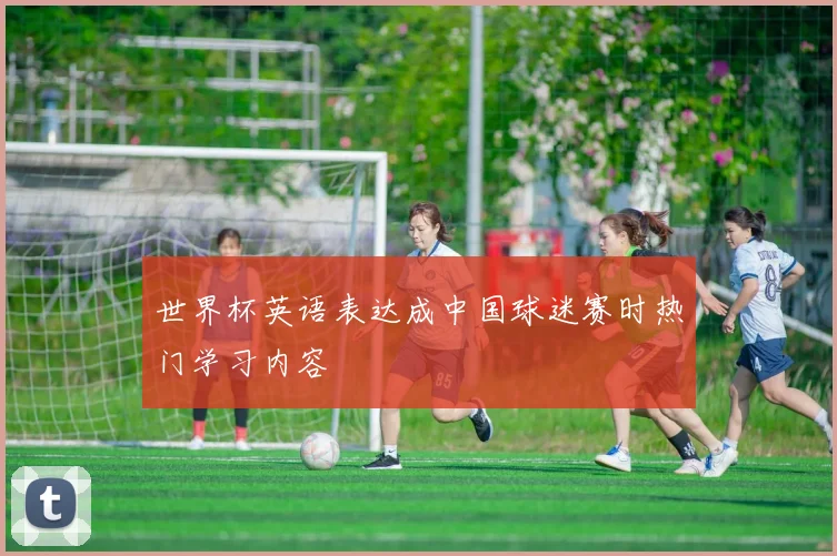 世界杯英语表达成中国球迷赛时热门学习内容